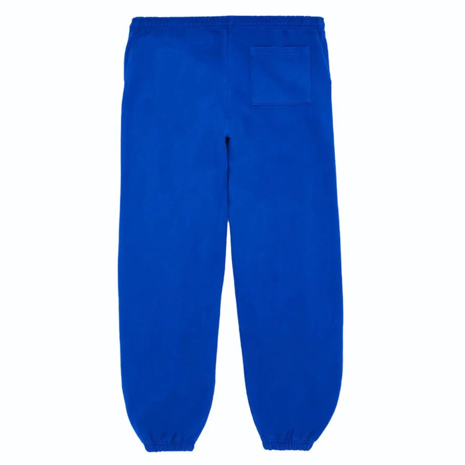 Sp5der Sweatpants Beluga Blue back